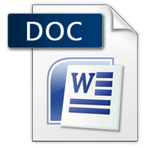 Microsoft Word Document